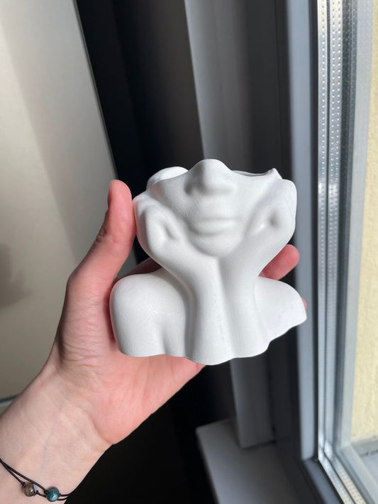 Face Vase| Aesthetic Home Decor Flower Pot