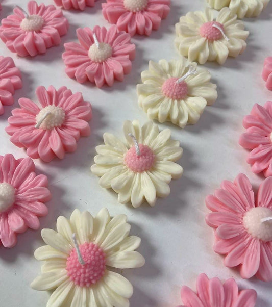 daisy flower candle