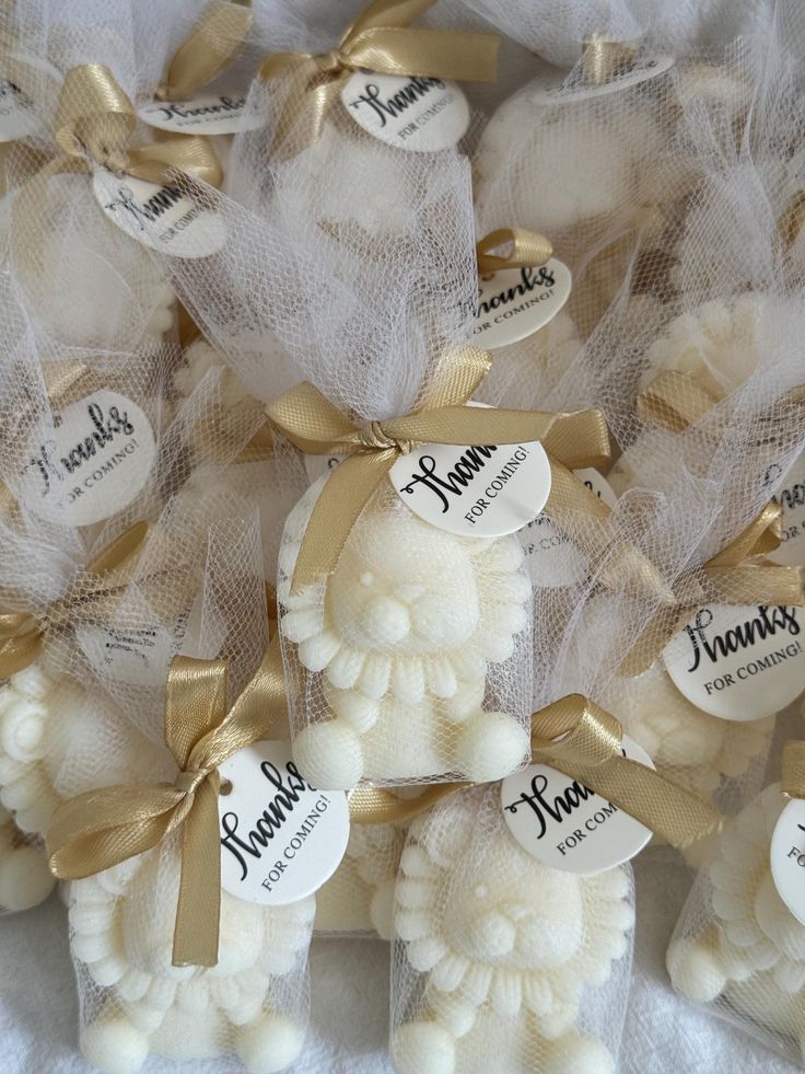 Lion wrap packing| baby shower