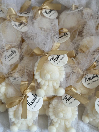 Lion wrap packing| baby shower