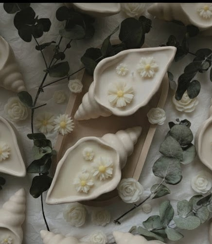 Shell candle ✨